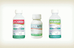 Empaque |  Velsimex